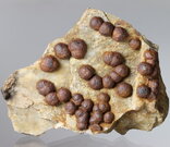 Hematit - Kožlí, rozměry vzorku: 15 x 10 cm. © Foto T. Kadlec